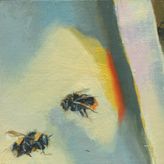 Bumble Bee 237_238